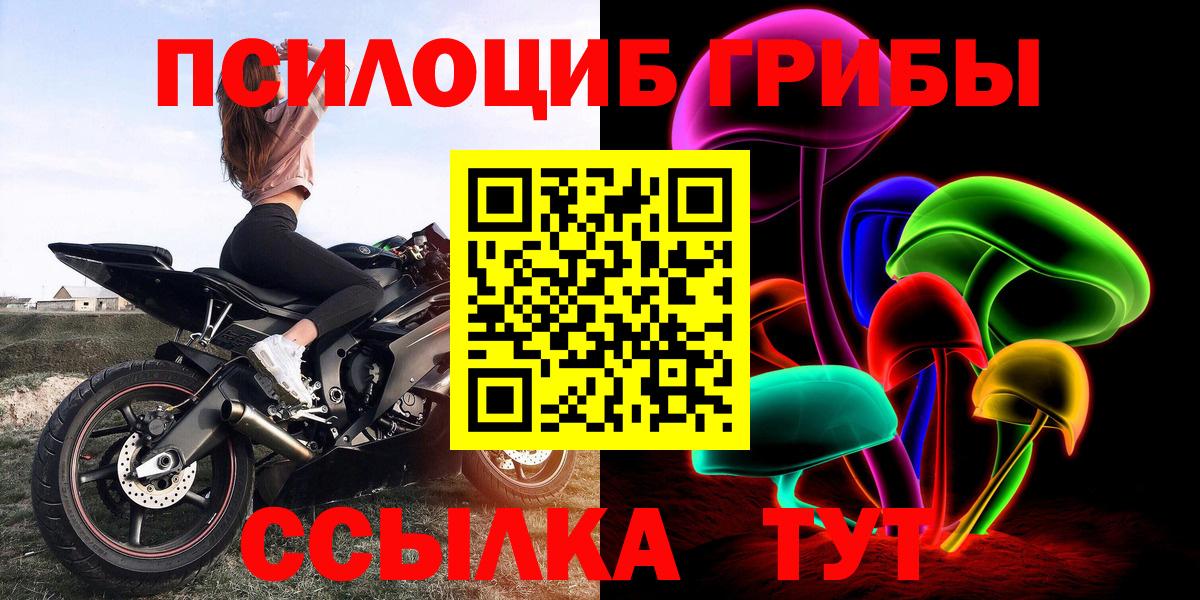 Новозыбков  купить закладку  Вход с VPN  Галлюциногенные грибы мицелий 